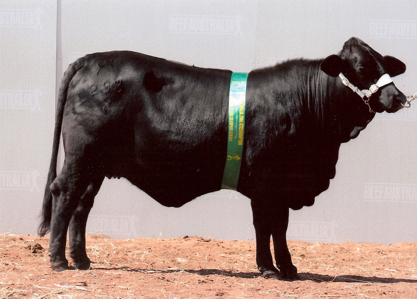 Elara Beryl 4th, Beef Australia 2009